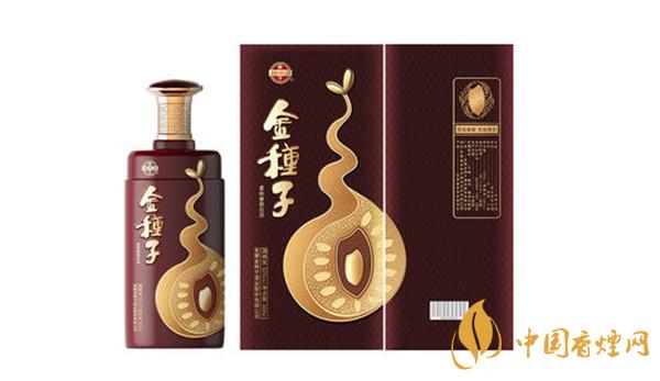 金種子酒怎么樣 金種子酒價格表圖一覽
