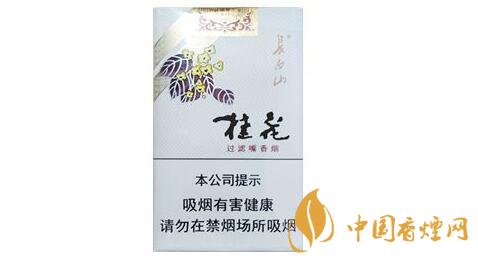 長(zhǎng)白山桂花硬盒香煙價(jià)格2025 長(zhǎng)白山香煙小盒價(jià)格