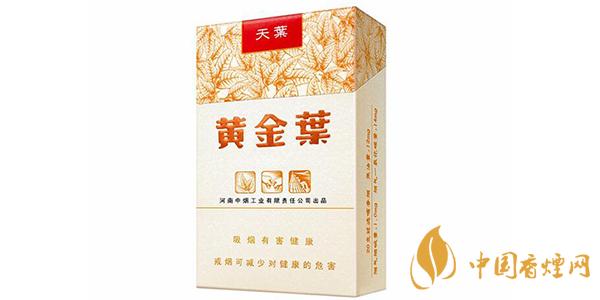 2025黃金葉天葉價格和圖片一覽 黃金葉天葉味道品析