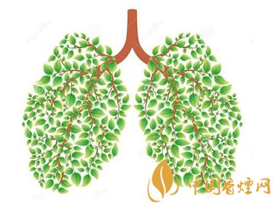 相比癌癥慢阻肺疾病離吸煙者更近！