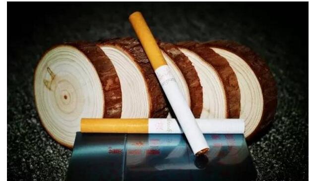 黃鶴樓游泳回歸，爺爺輩最喜愛的香煙品牌