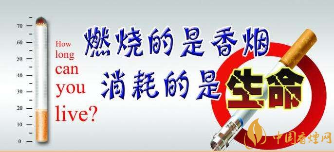 為什么中國控?zé)熾y，中國煙草行業(yè)8項世界第一
