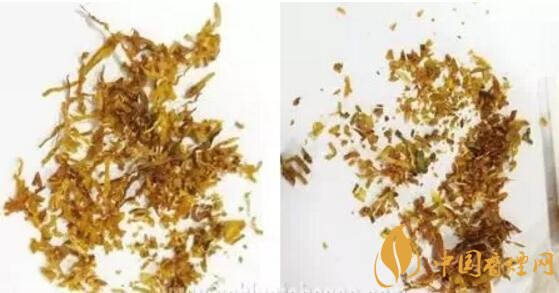 冬蟲夏草（和潤）真假鑒別，春節(jié)防止被騙