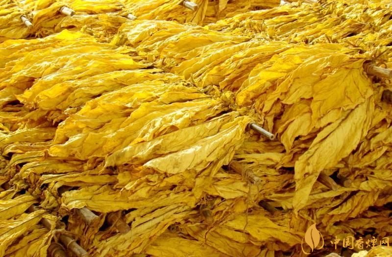 朱砂煙到底是什么煙，云煙朱砂煙有哪幾款