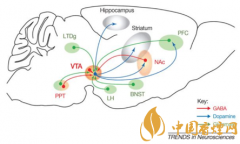 煙癮是什么 煙癮犯了怎么辦！