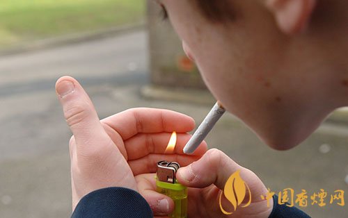 歐洲煙民青少年時期開始吸煙 吸煙危害更大