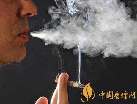 你不知道的吸煙危害 香煙不僅傷肺還傷胃！
