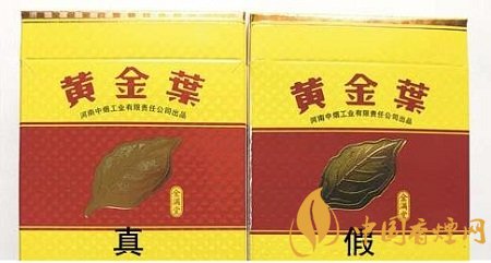 黃金葉金滿堂香煙真假辨別圖鑒 一看便知真假！