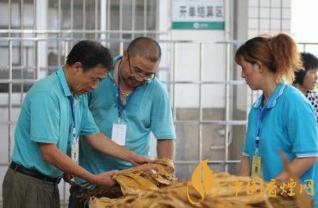 2020煙草行業(yè)有什么變化 煙草人的初心和使命介紹！
